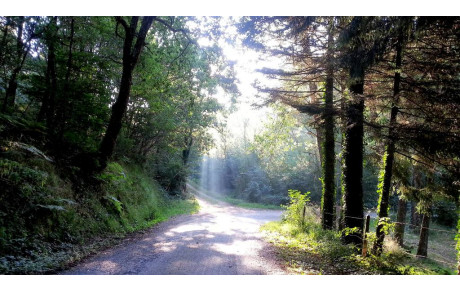 Photos de la Rando VTT et Pédestre