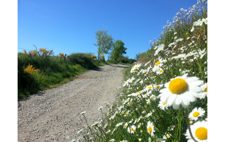 Départ Parcours VTT 40 kms 8H30